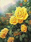 A Perfect Yellow Rose